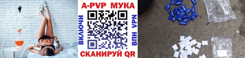 закладка  Сураж  Alfa_PVP СК КРИС 