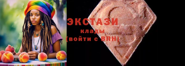 хмурый Абаза