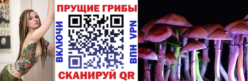Псилоцибиновые грибы мицелий kraken как войти Сураж
