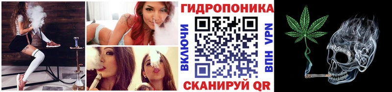 купить наркотики цена  Сураж  Канабис индика 